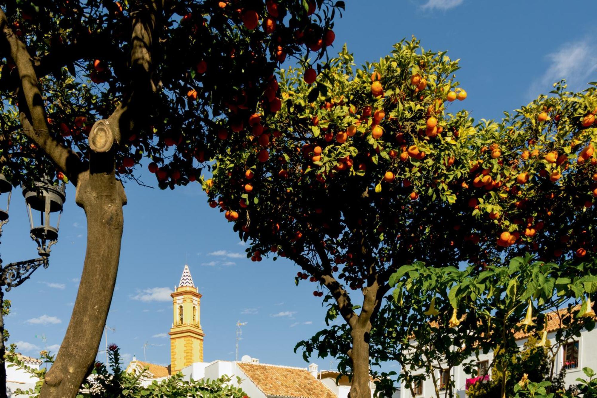 Casa Del Patio - Boutique Apartments (Adults Only) Estepona Eksteriør bilde